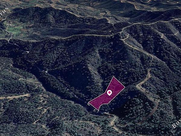 land for sale kapedes nicosia 1113060 image 13347092