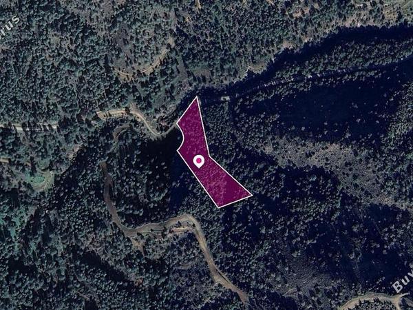land for sale kapedes nicosia 1113060 image 13347096