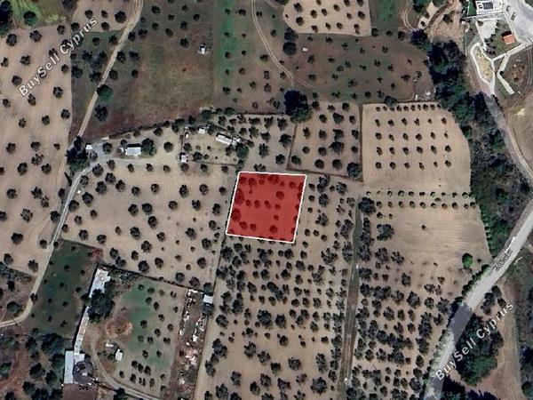 land for sale kornos larnaca 8705060 image 16242381