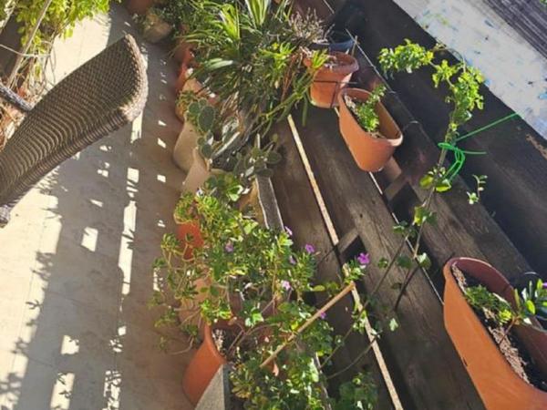 3 bedroom semi detached house for sale kolossi limassol 1855160 image 6742306