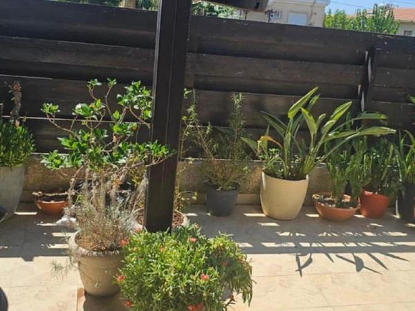 3 bedroom semi detached house for sale kolossi limassol 1855160 image 6742308