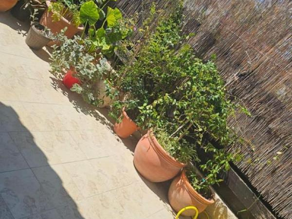 3 bedroom semi detached house for sale kolossi limassol 1855160 image 6742310