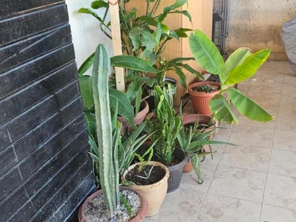 3 bedroom semi detached house for sale kolossi limassol 1855160 image 6742311