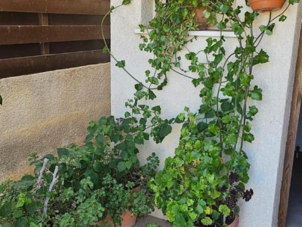 3 bedroom semi detached house for sale kolossi limassol 1855160 image 6742318