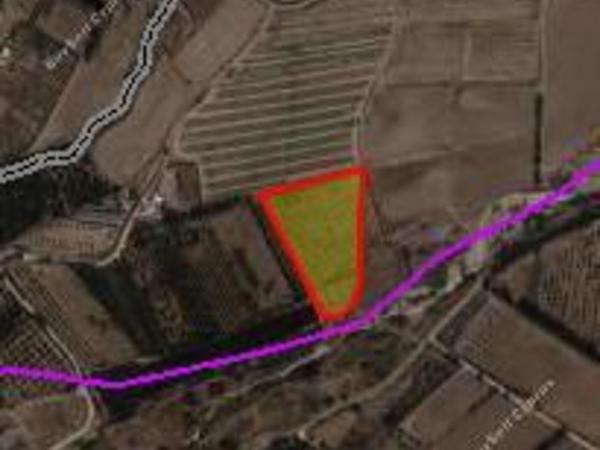 land for sale acheleia paphos 1928160 image 10052201