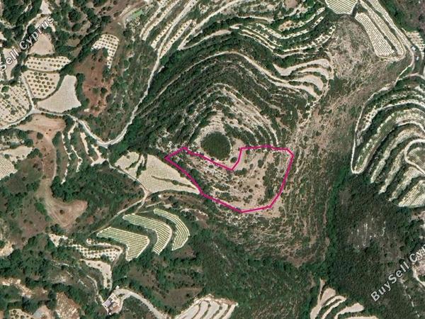 land for sale koili paphos 8396160 image 14823833