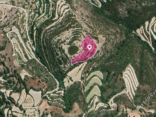 land for sale koili paphos 8396160 image 14823837