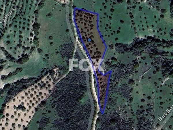 land for sale meladia paphos 1566260 image 5641637