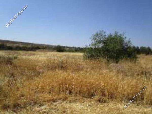 land for sale orounta nicosia 1084260 image 6815303