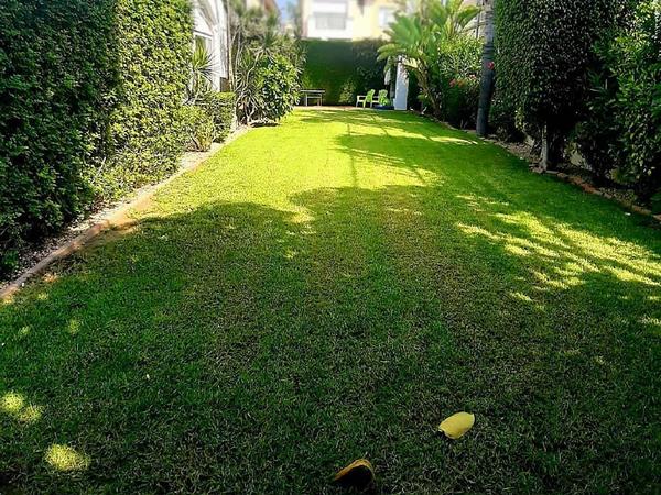 4 bedroom detached house for sale linopetra limassol 8463360 image 15132608