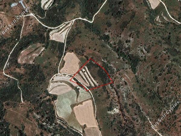 land for sale dora limassol 839360 image 5480964