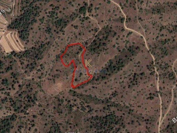 plot for sale gourri nicosia 1195360 image 5577642