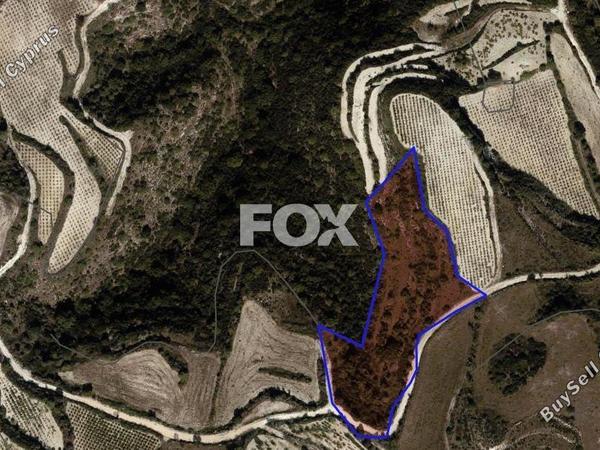 land for sale kathikas paphos 1532460 image 14829094