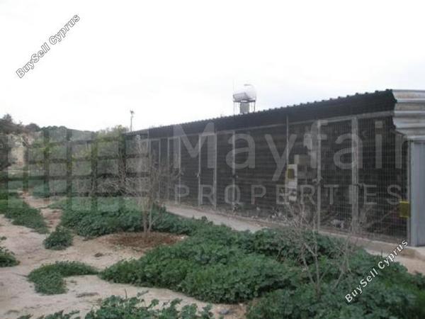 land for sale softades larnaca 7870460 image 11377882