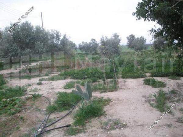 land for sale softades larnaca 7870460 image 11377883