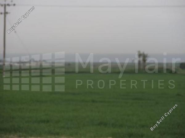 land for sale softades larnaca 7870460 image 11377885