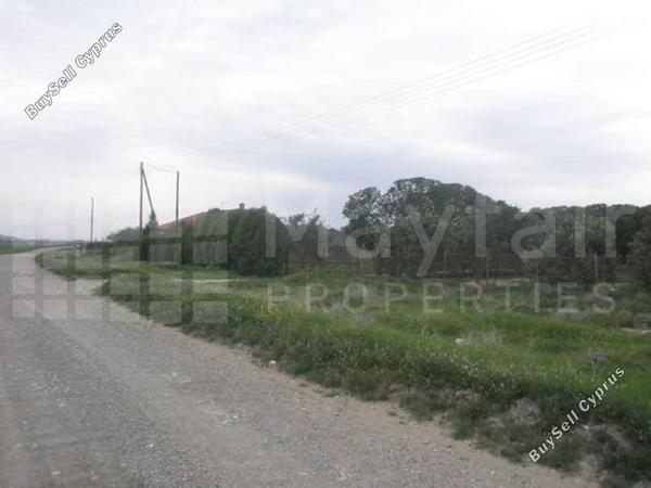 land for sale softades larnaca 7870460 image 11377887