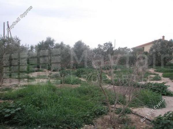 land for sale softades larnaca 7870460 image 11377888