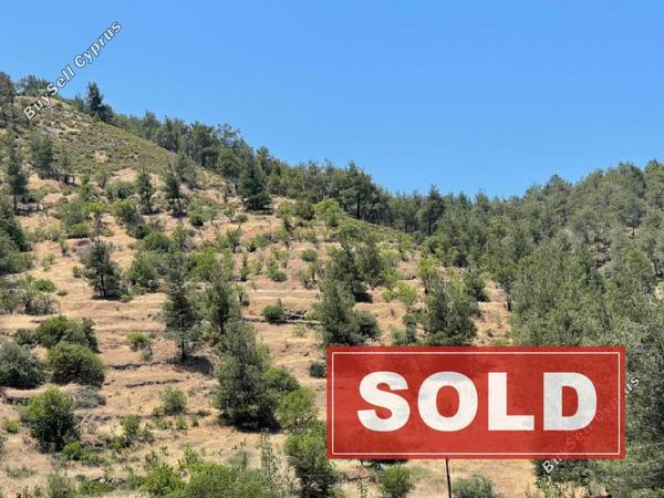 land sold agios epifanios oreinis nicosia 1353460 image 6818744
