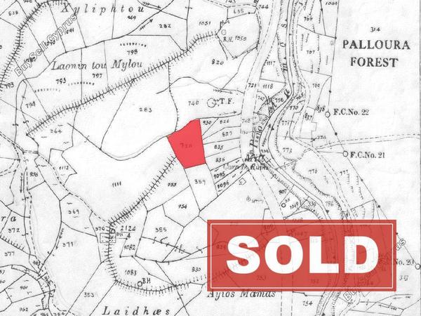 land sold agios epifanios oreinis nicosia 1353460 image 7645957