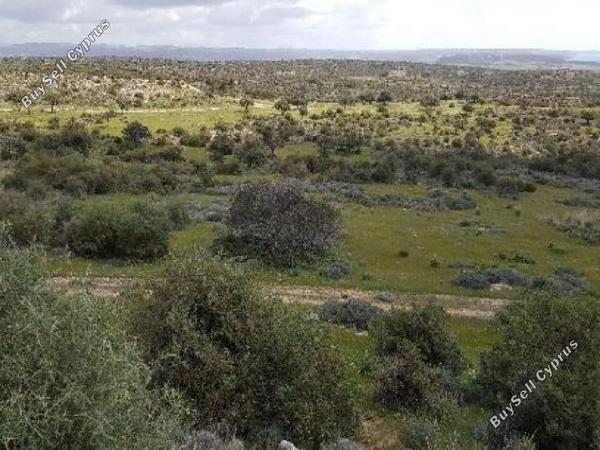plot for sale pissouri limassol 1681460 image 16182891