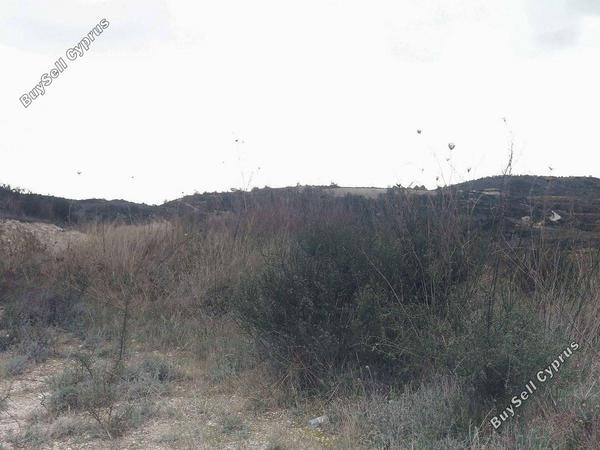 plot for sale tsada paphos 1898460 image 14216325