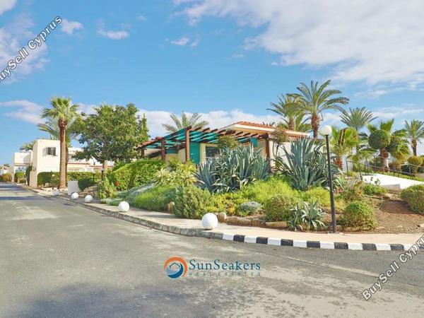 studio commercial building for sale coral bay paphos 8529460 image 15568214