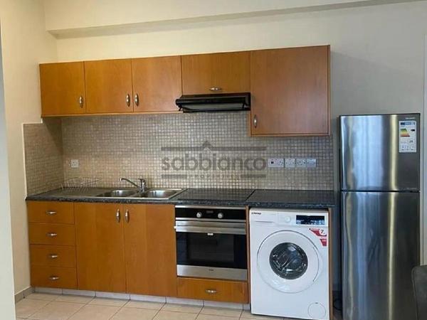 1 bedroom apartment for rent aglantzia nicosia 8749560 image 16476865