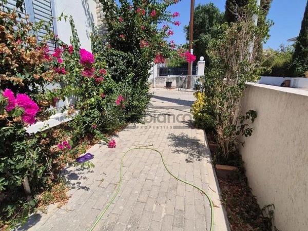 3 bedroom detached house for rent agios andreas nicosia nicosia 8748560 image 16466191