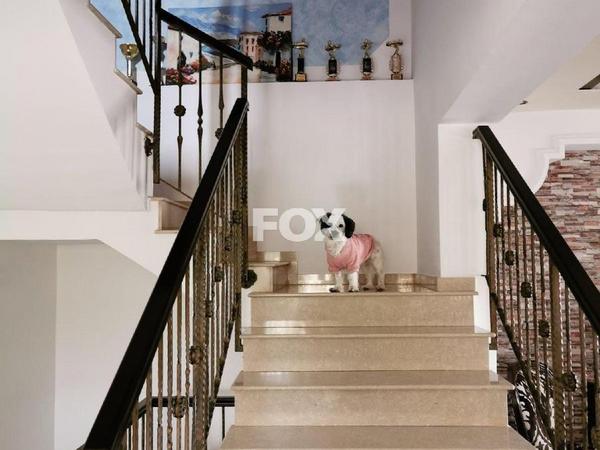 4 bedroom detached house for sale erimi limassol 1446560 image 5618497