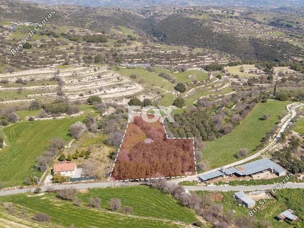 land for sale dora limassol 1603560 image 5649473