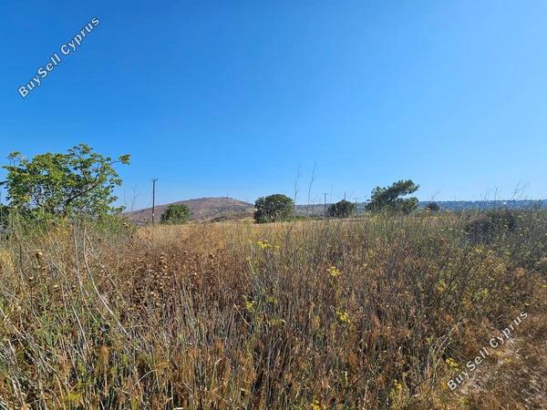 land for sale ineia paphos 1869560 image 6906607