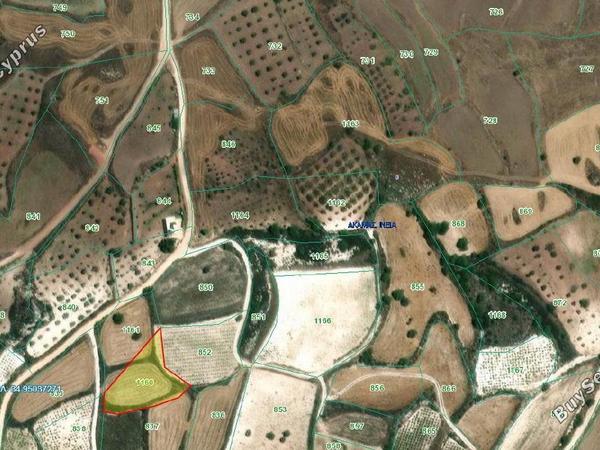 land for sale ineia paphos 1869560 image 6906612
