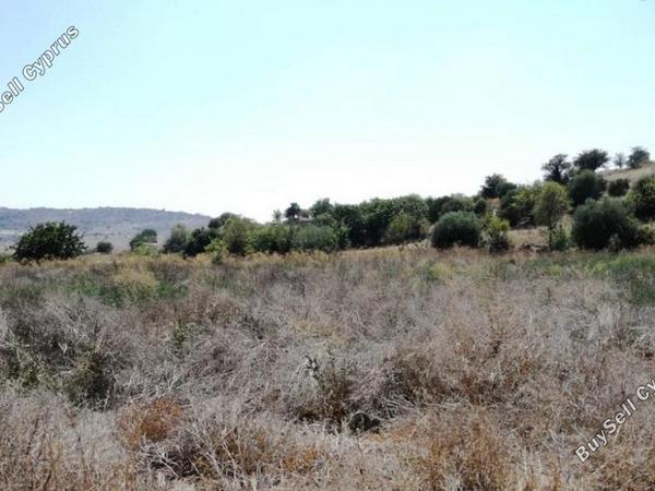 land for sale kritou marottou paphos 828560 image 15179001