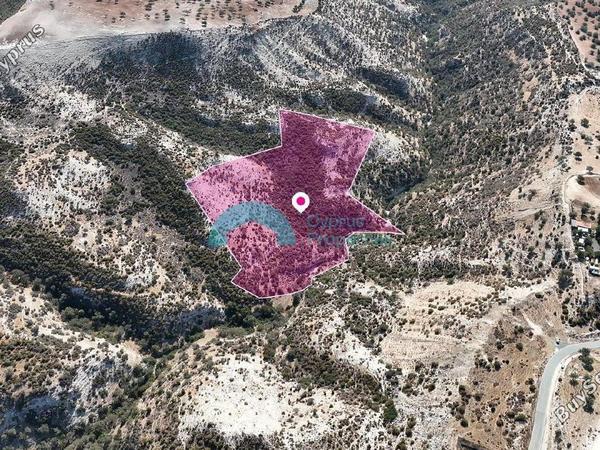 land for sale pissouri limassol 8286560 image 14020818