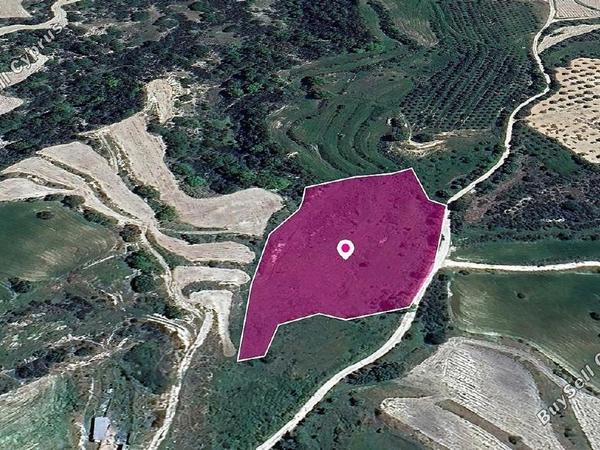 land for sale polemi paphos 8237560 image 13800826