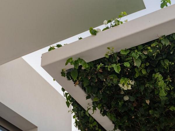 4 bedroom detached house for sale sea caves peyia paphos 8347660 image 15854117