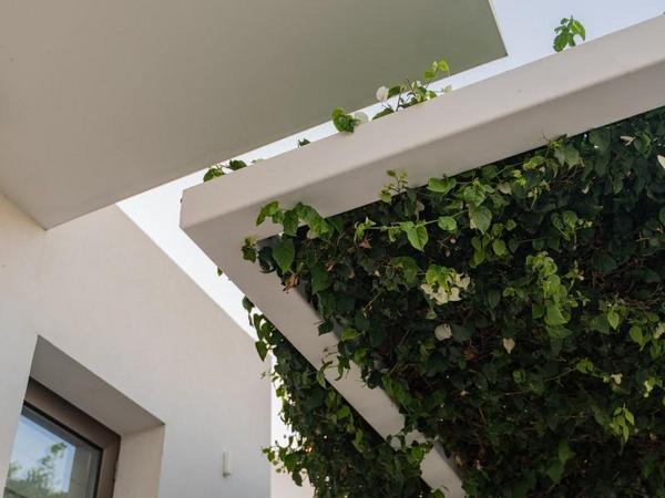 4 bedroom detached house for sale sea caves peyia paphos 8347660 image 15854118