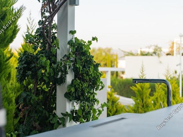 4 bedroom detached house for sale sea caves peyia paphos 8347660 image 15854123