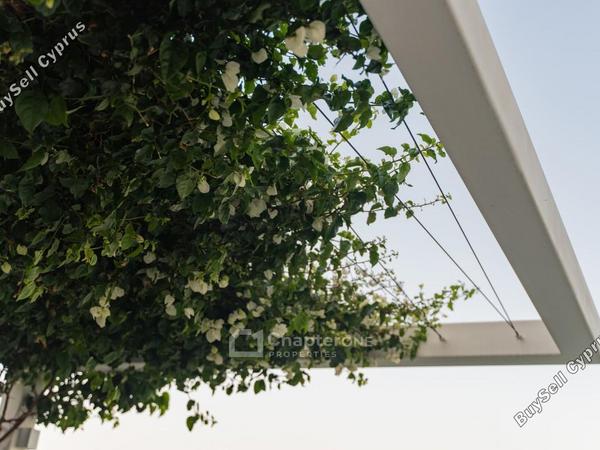 4 bedroom detached house for sale sea caves peyia paphos 8347660 image 15854126