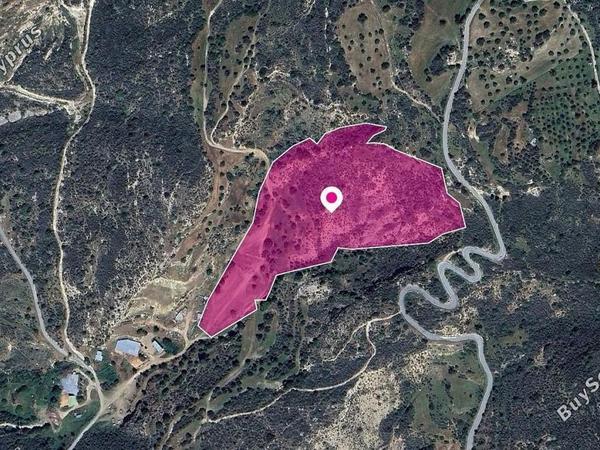 land for sale agios isidoros paphos 8629660 image 15869470