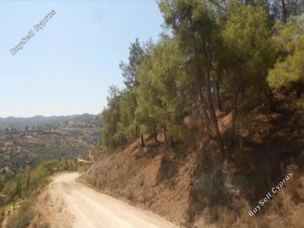 land for sale xyliatos nicosia 1380660 image 6818905