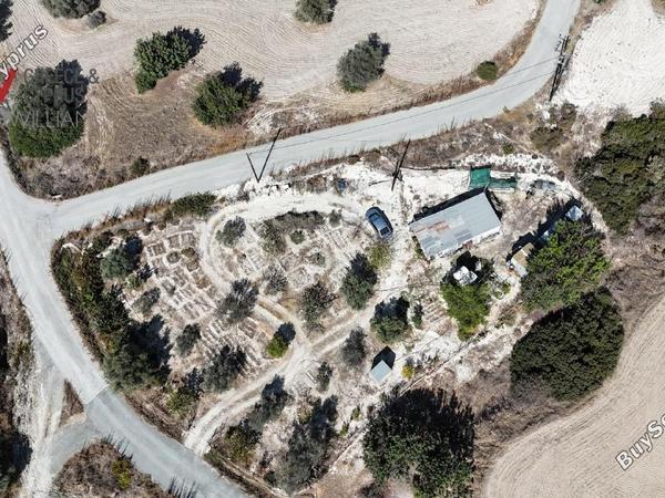 plot for sale choirokoitia larnaca 7745660 image 16133807