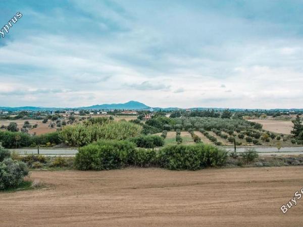 land for sale mazotos larnaca 958760 image 6411647