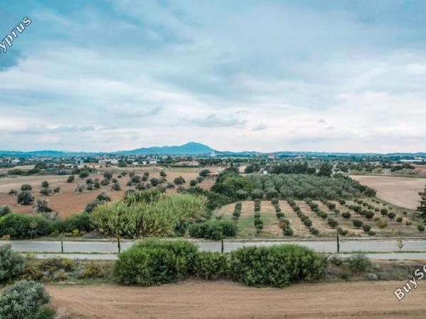 land for sale mazotos larnaca 958760 image 6411648