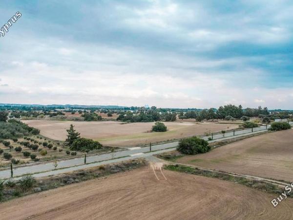 land for sale mazotos larnaca 958760 image 6411650