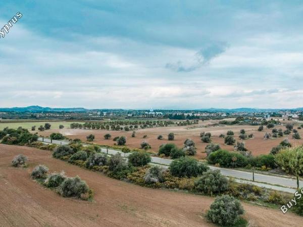 land for sale mazotos larnaca 958760 image 6411652