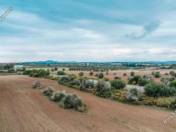 land for sale mazotos larnaca 958760 image 6411654