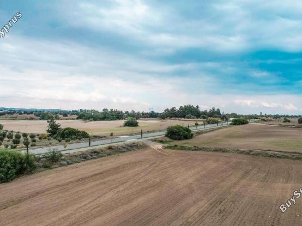 land for sale mazotos larnaca 958760 image 6411656