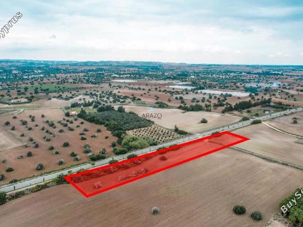 land for sale mazotos larnaca 958760 image 6411661